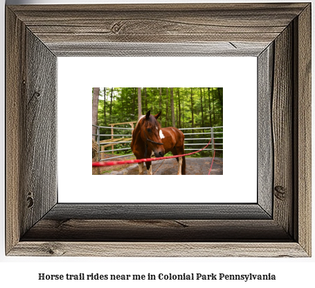 horse trail rides near me in Colonial Park, Pennsylvania